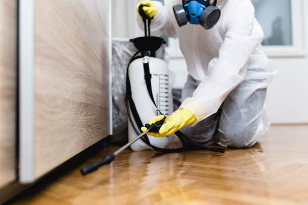 Pest Prevention Services in Bogata, TX