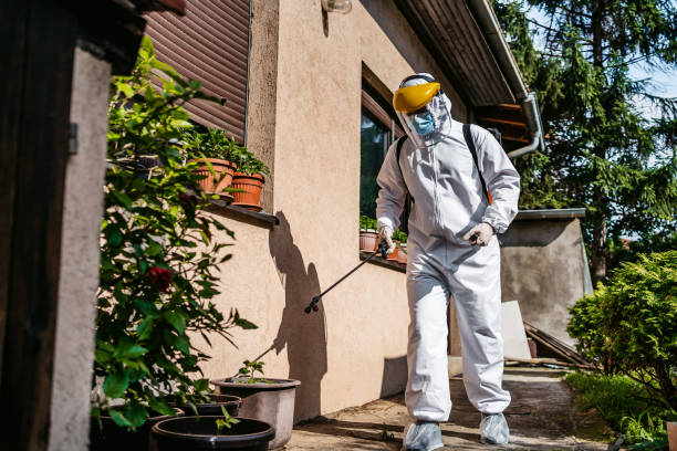 Best Wasp Removal Services  in Bogata, TX